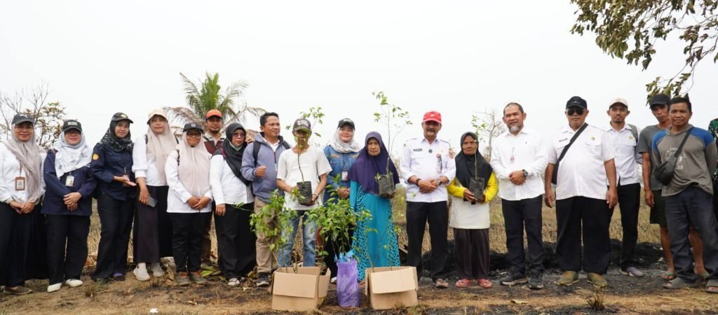Petani Jeruk Terdampak Karhutla Batola Diberi Bantuan Bibit Jeruk