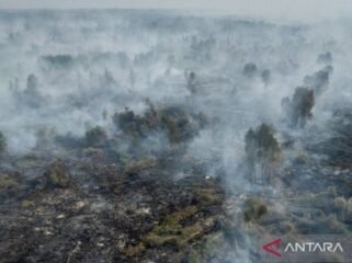 Karhutla di Kalimantan. (antara)